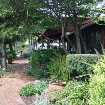Bridgefield Guest House - Garden Path